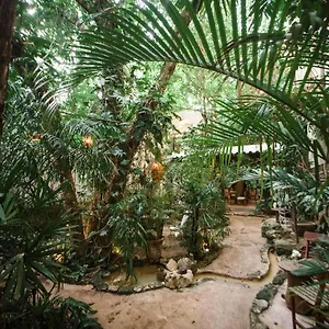 **** Hotel La Semilla A Member Of Design (adults Only) México